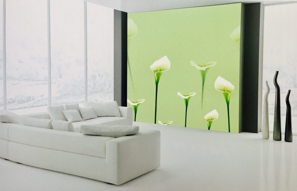 rem-tranh-cuon-dep-2