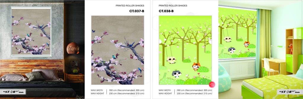 rem cua tranh cuon quan 6 1 1